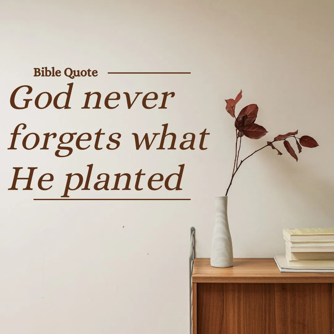 bible quotes about flowers