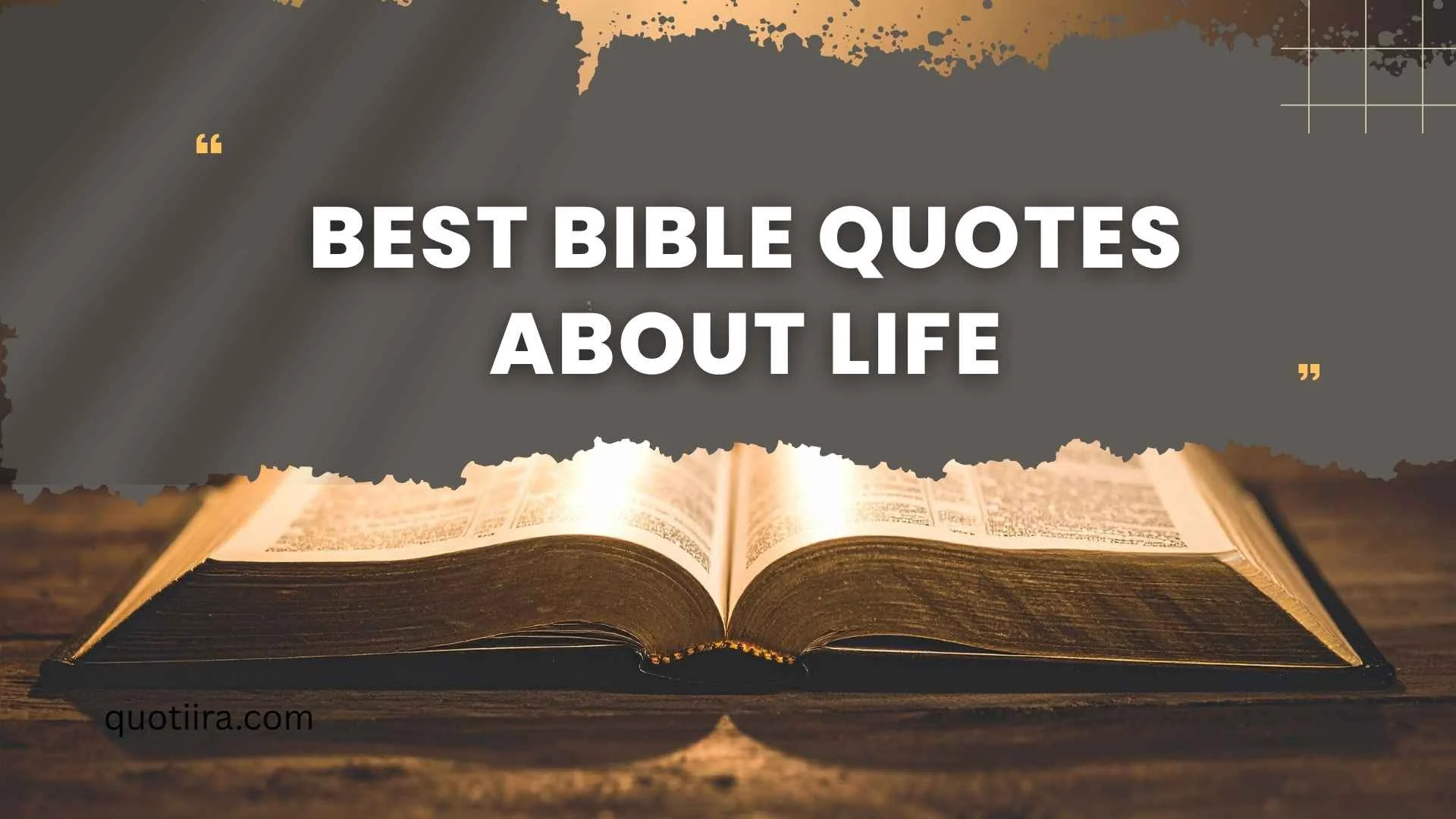 164+ Best Bible Quotes About Life to Inspire Hope, Purpose, and Strength