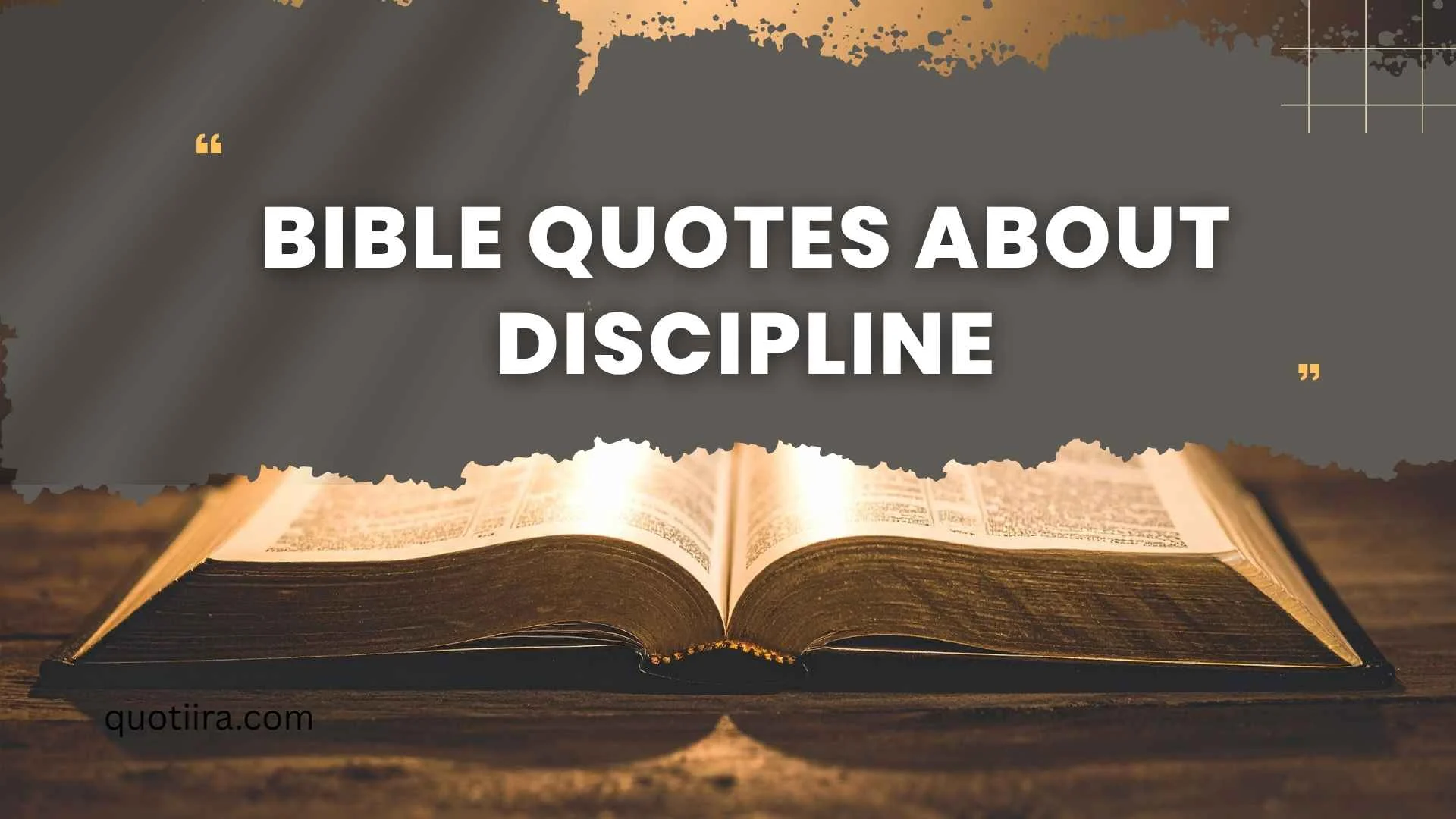 255+ Bible Quotes About Discipline to Strengthen Your Faith, Focus, and Daily Walk
