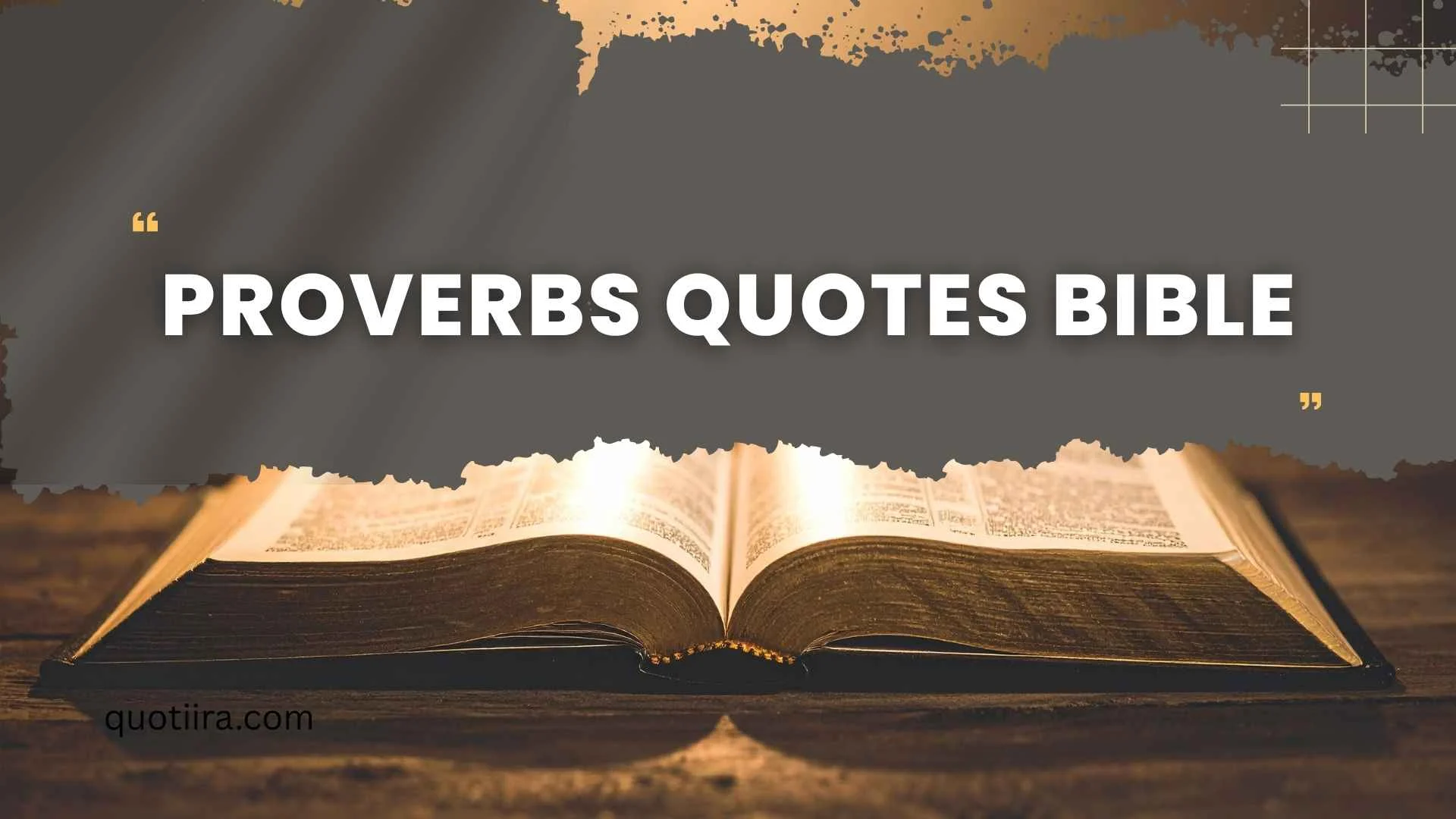 176+ Bible Quotes from Proverbs That Bring Wisdom, Peace, and Understanding